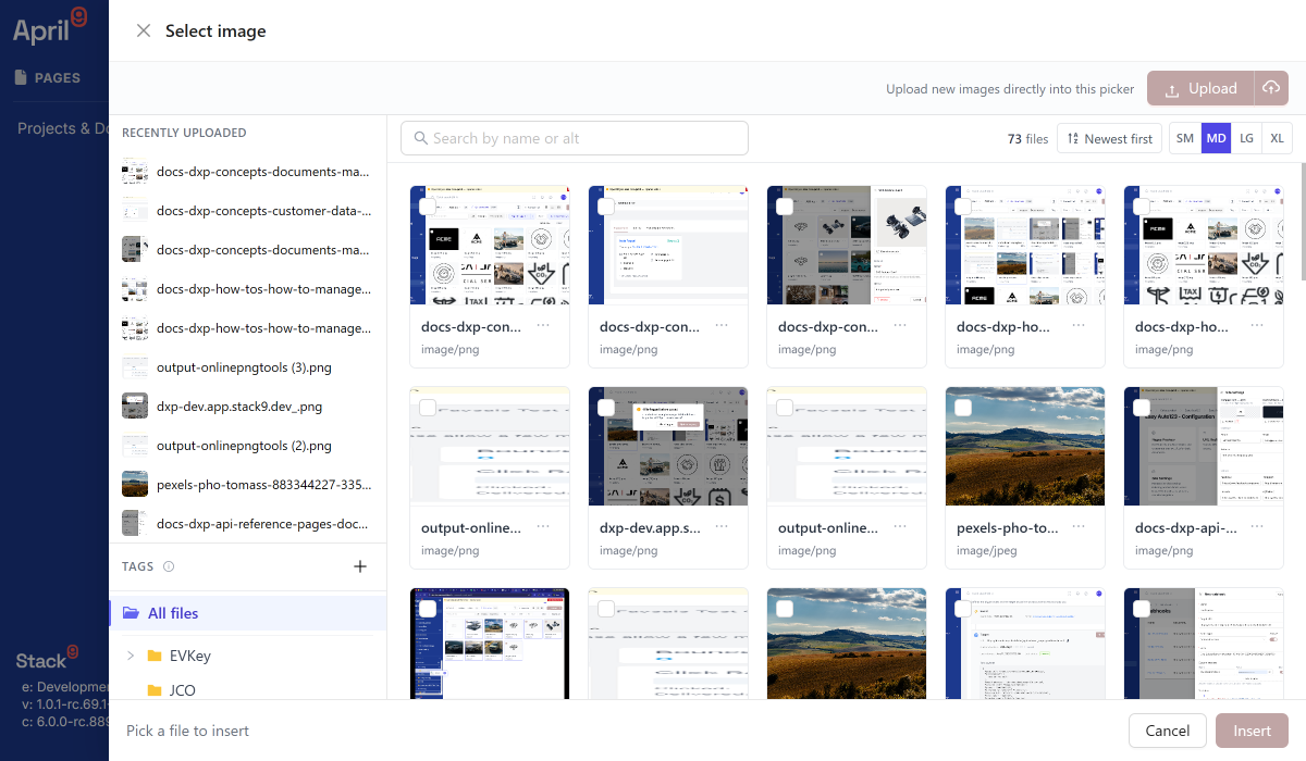 File picker drawer open inside a Stack9 Pages image field showing search and tag filters